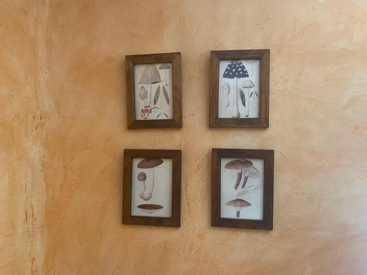 Casa Del Plantel Apartment San Ildefonso ภายนอก รูปภาพ